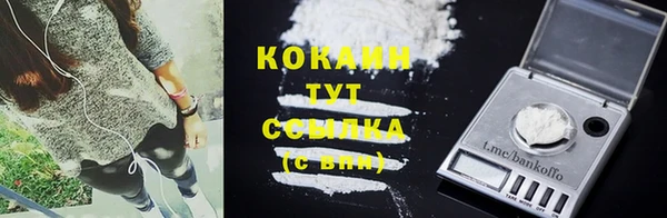дмт Лиски