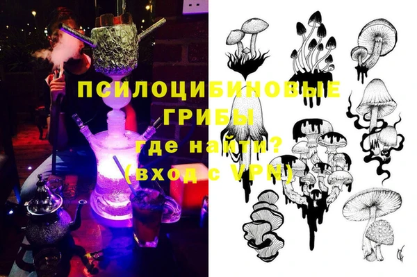 дмт Лиски