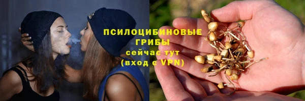 дмт Лиски