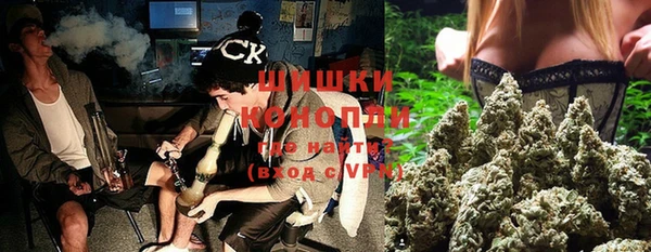 дмт Лиски