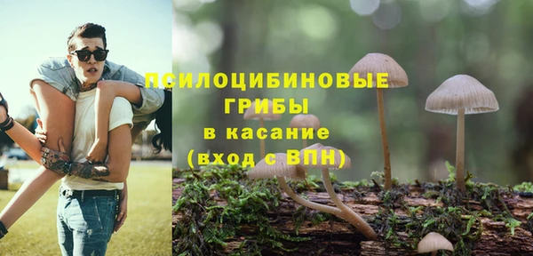 дмт Лиски